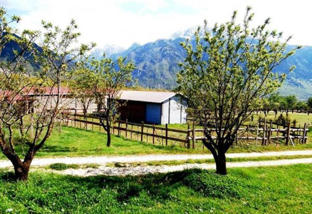 Villa Rustica Konitsa Exterior photo