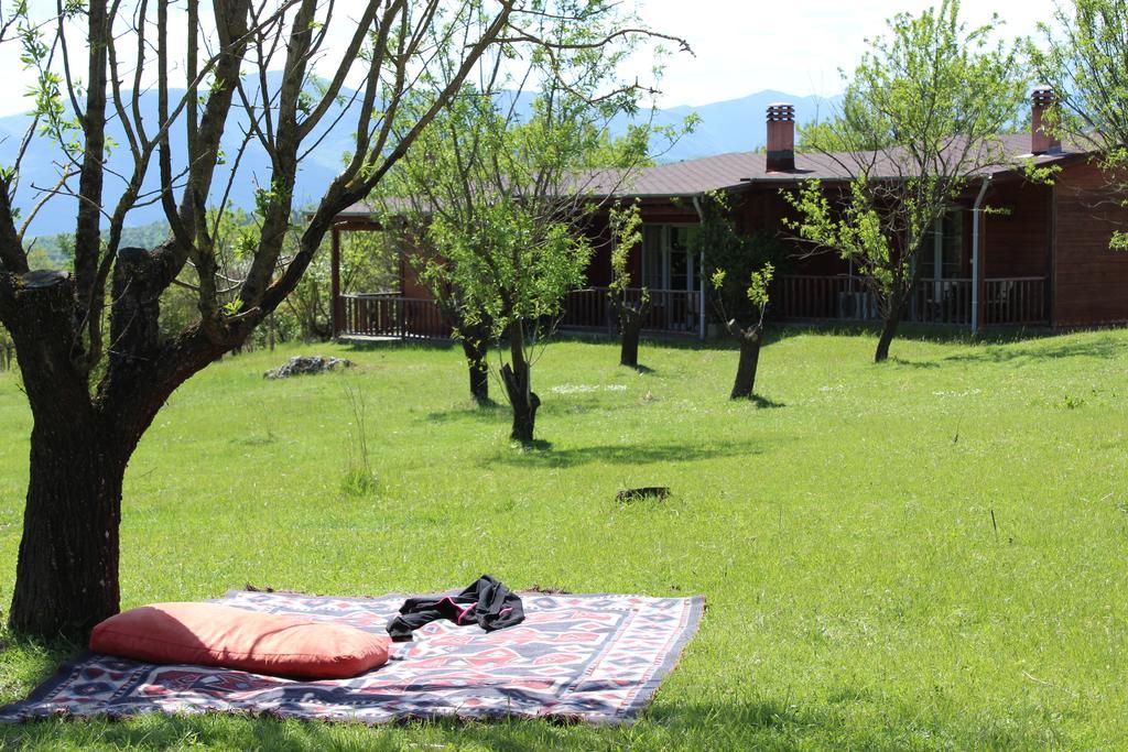 Villa Rustica Konitsa Exterior photo